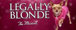 Sydney DiBiasi channels her inner Elle Woods in ‘Legally Blonde the Musical’