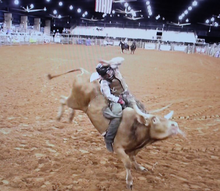 ‘State of Rodeo’ explores 500-year history of rodeo in Florida | ArtSWFL.com